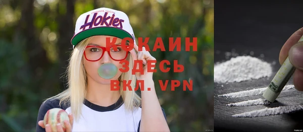 гидра Нея