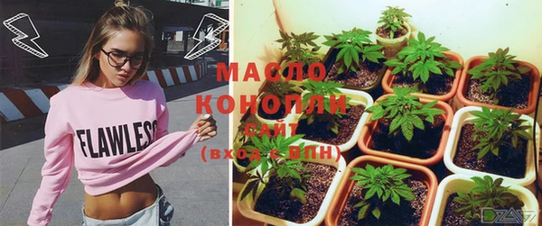 гидра Нея