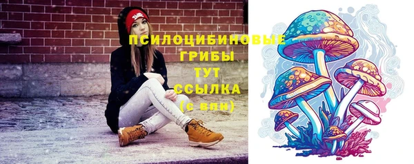 гидра Нея