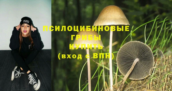 прущая мука Нефтекумск